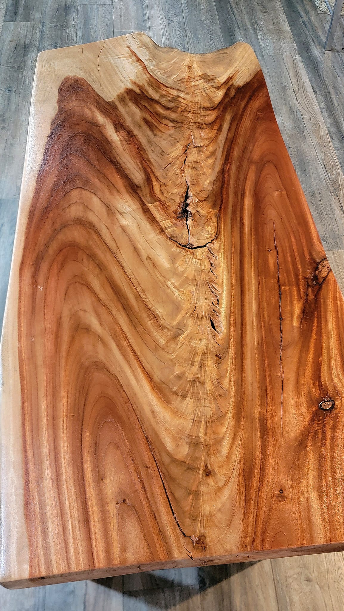 Figured camphor slab showing cathedral grain pattern